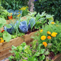 Maximizing Space in a Small Garden: Sustainable and Eco-Friendly Tips