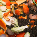 Composting and Food Waste Reduction: How to Live a More Sustainable and Eco-Friendly Lifestyle