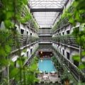 Creating a Healthier Environment: Incorporating Green Technology in Your Daily Life