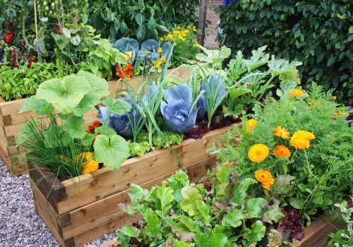 Maximizing Space in a Small Garden: Sustainable and Eco-Friendly Tips