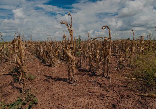 Understanding Extreme Weather Events for a Sustainable Future