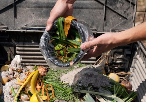 Reducing Food Waste for a Sustainable Future