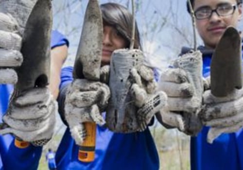 Volunteering for Environmental Organizations: How You Can Make a Difference