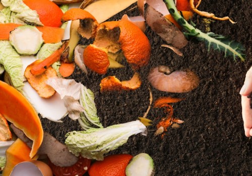 Composting and Food Waste Reduction: How to Live a More Sustainable and Eco-Friendly Lifestyle